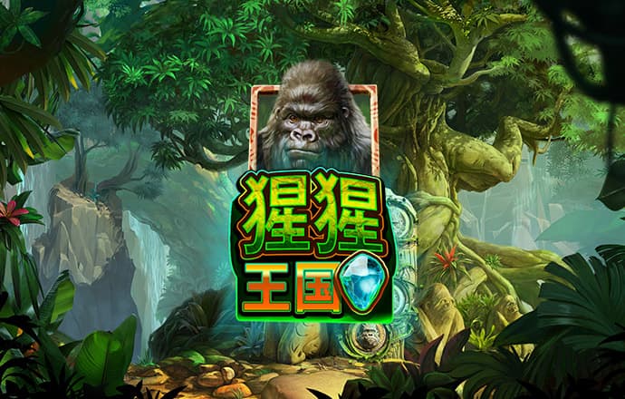 bob半岛·综合体育